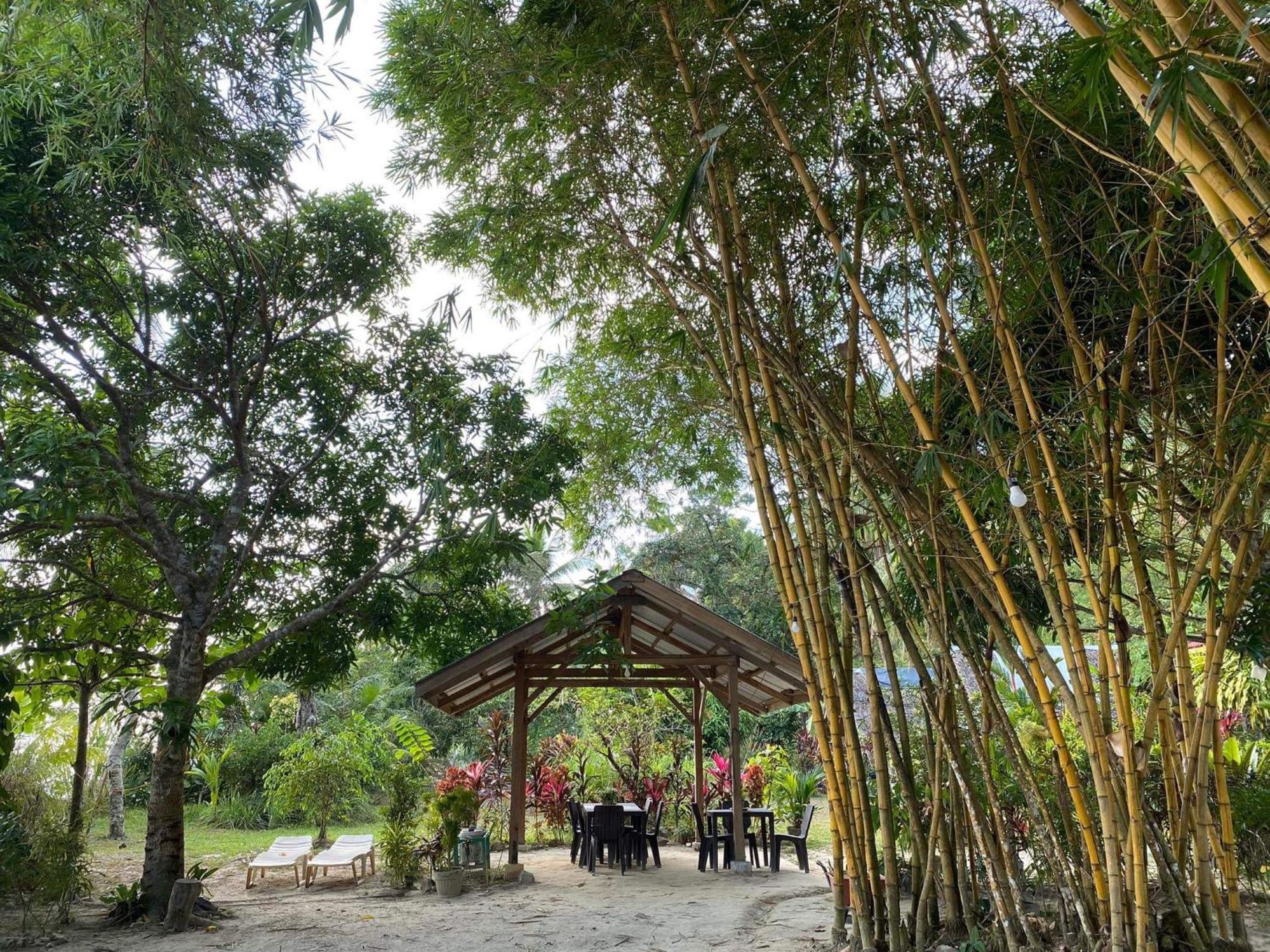 Port Barton - Paradiso Azul Campsite Beachfront With Internet San Vicente  Exterior photo