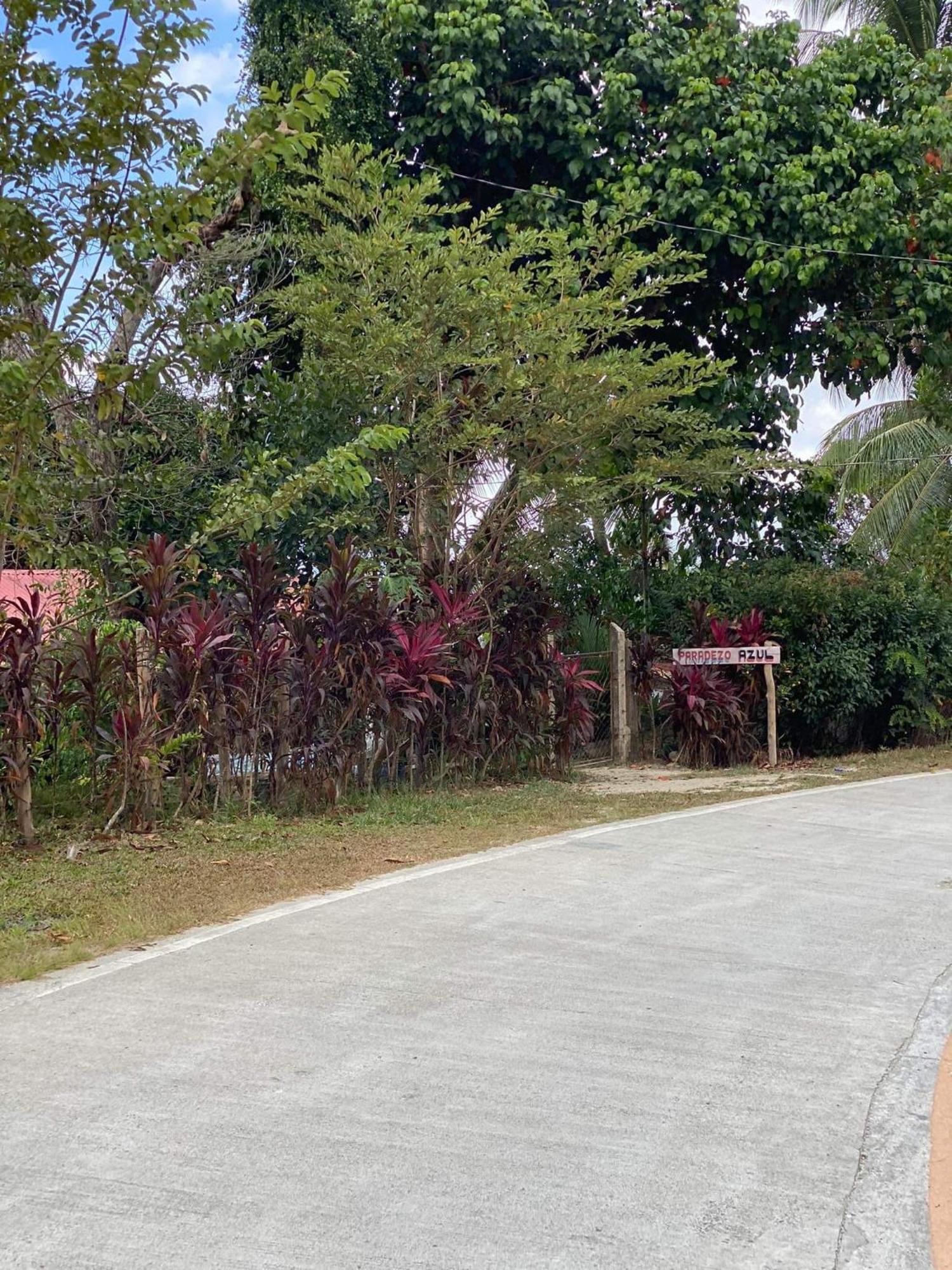 Port Barton - Paradiso Azul Campsite Beachfront With Internet San Vicente  Exterior photo