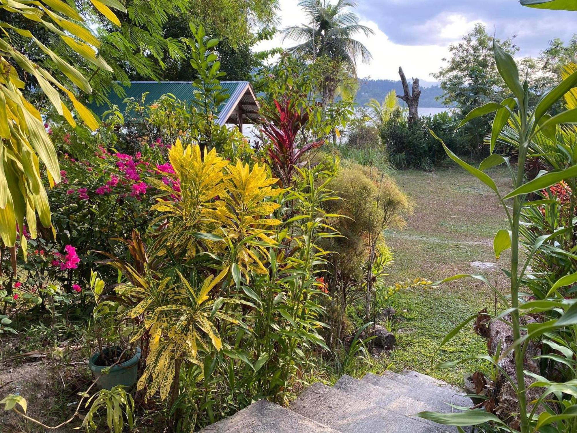 Port Barton - Paradiso Azul Campsite Beachfront With Internet San Vicente  Exterior photo