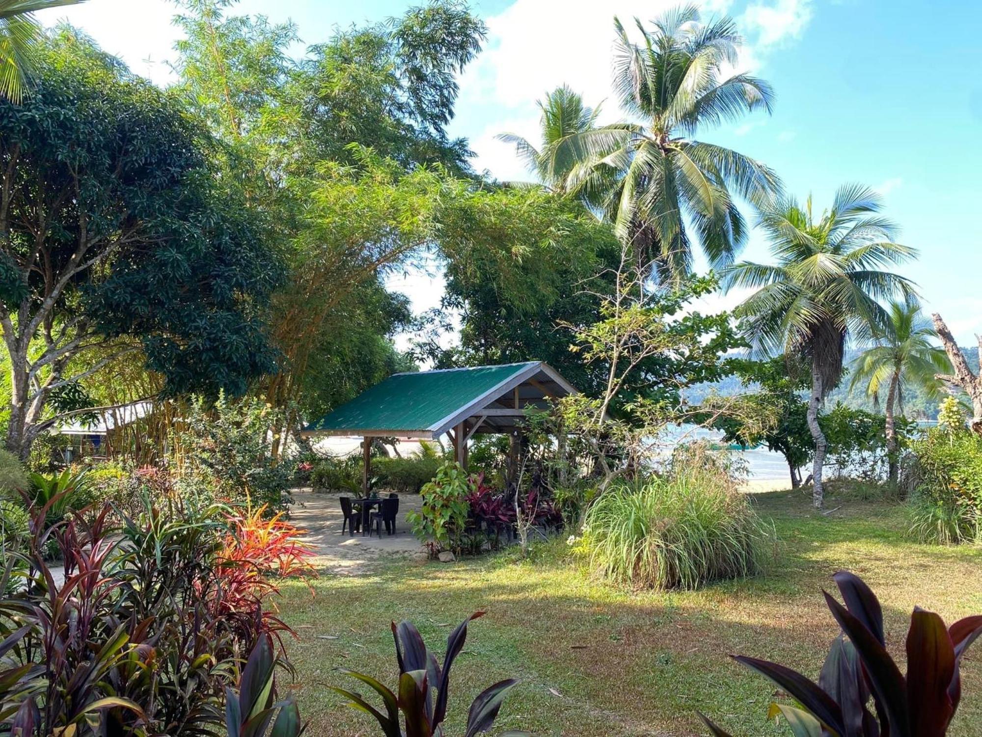 Port Barton - Paradiso Azul Campsite Beachfront With Internet San Vicente  Exterior photo